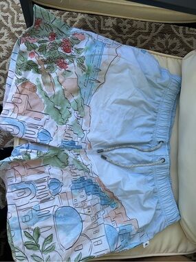 Men's Light Blue Scenic Print Swim Trunks with Drawstring